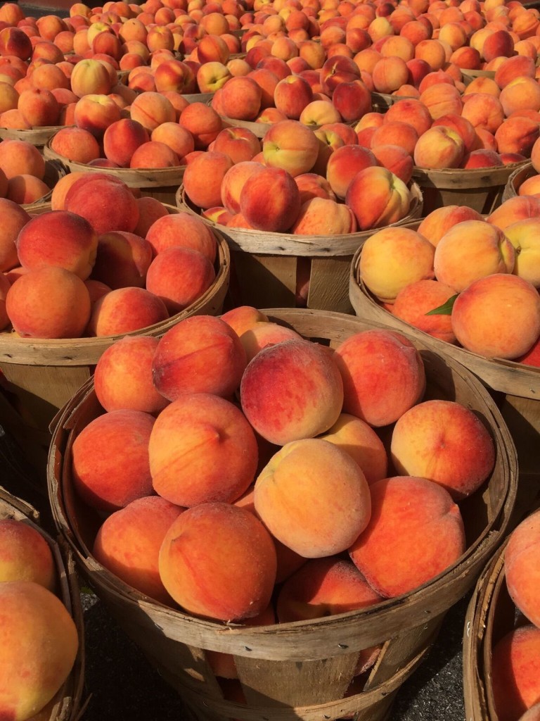 Peach Ripening | Milburn Orchards