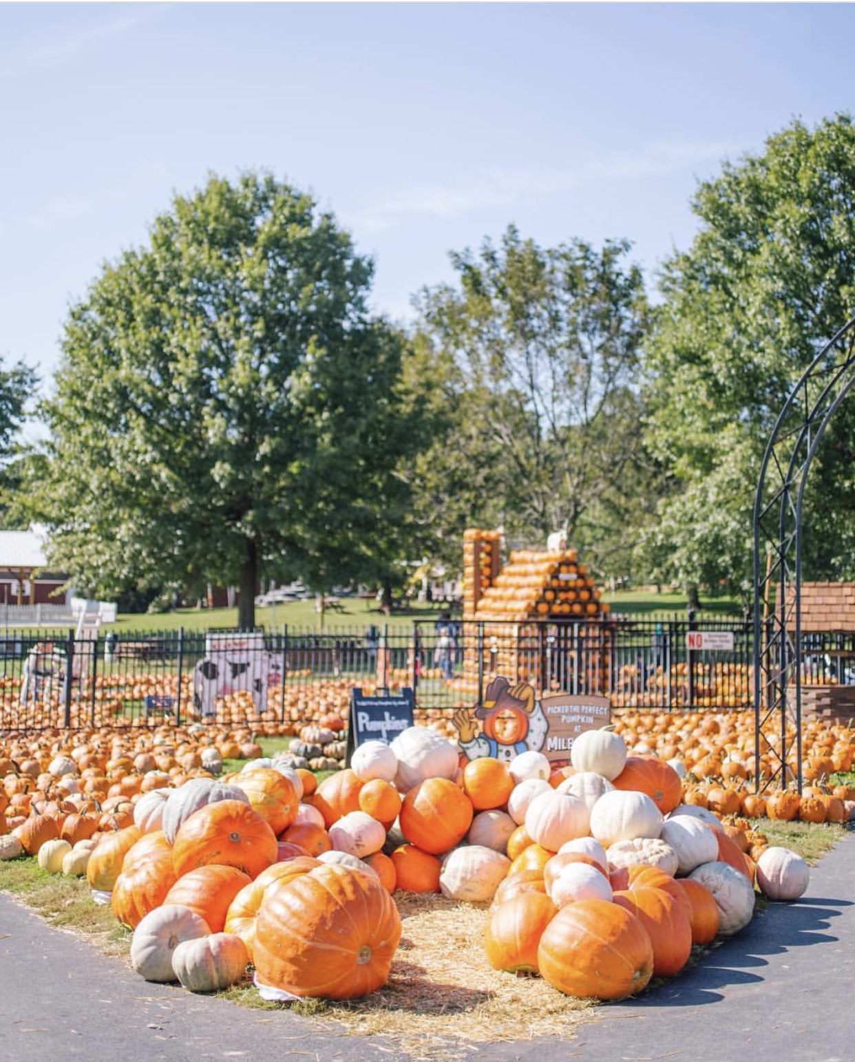 Milburn Orchards PickYourOwn Apples, Berries, and Peaches at