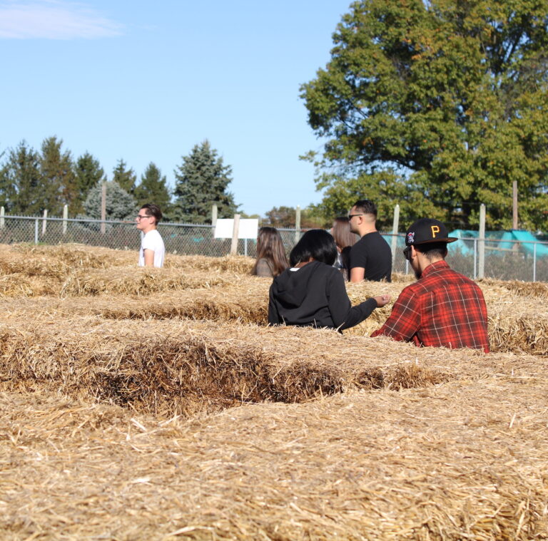 Bale Trail Straw Maze