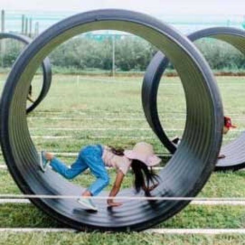 BigBackyardWheel