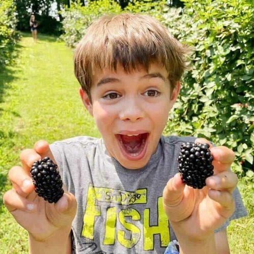 BlackberryBoy