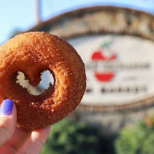 DonutHeartShapeSign