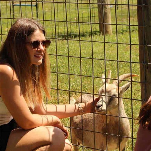 GoatPettingFarm